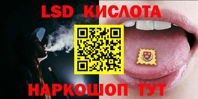 сатива Ставрополь