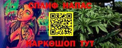 сатива Ставрополь