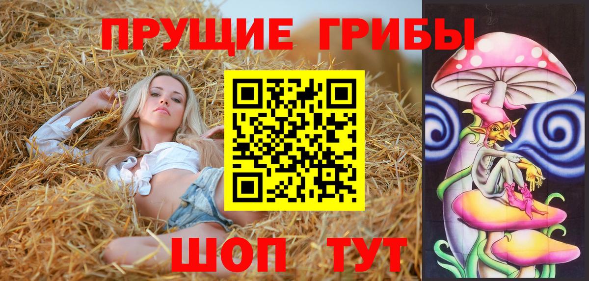 Полевской  Псилоцибиновые грибы Cubensis  Вход с VPN 