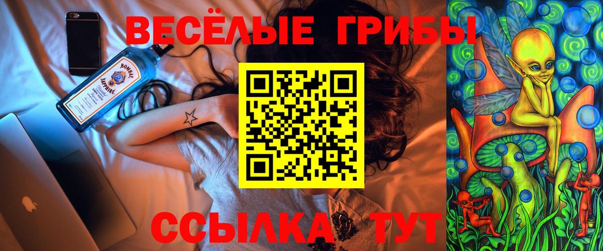 Псилоцибиновые грибы MAGIC MUSHROOMS Полевской